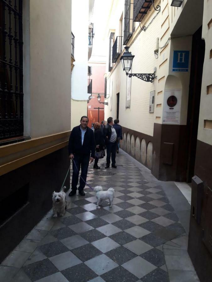 Nool Apartment Sevilla