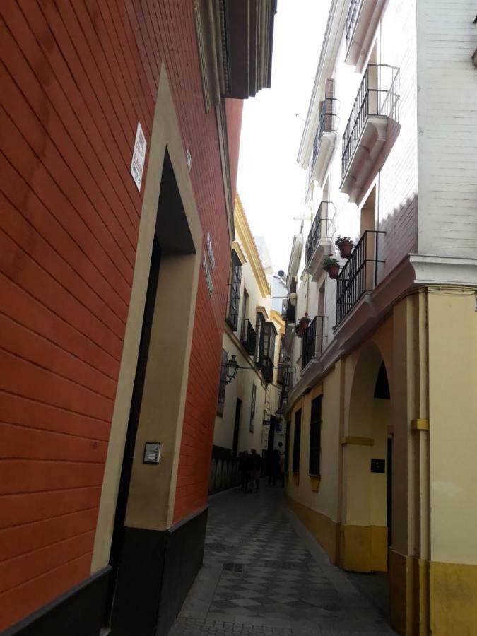 Nool Sevilla
